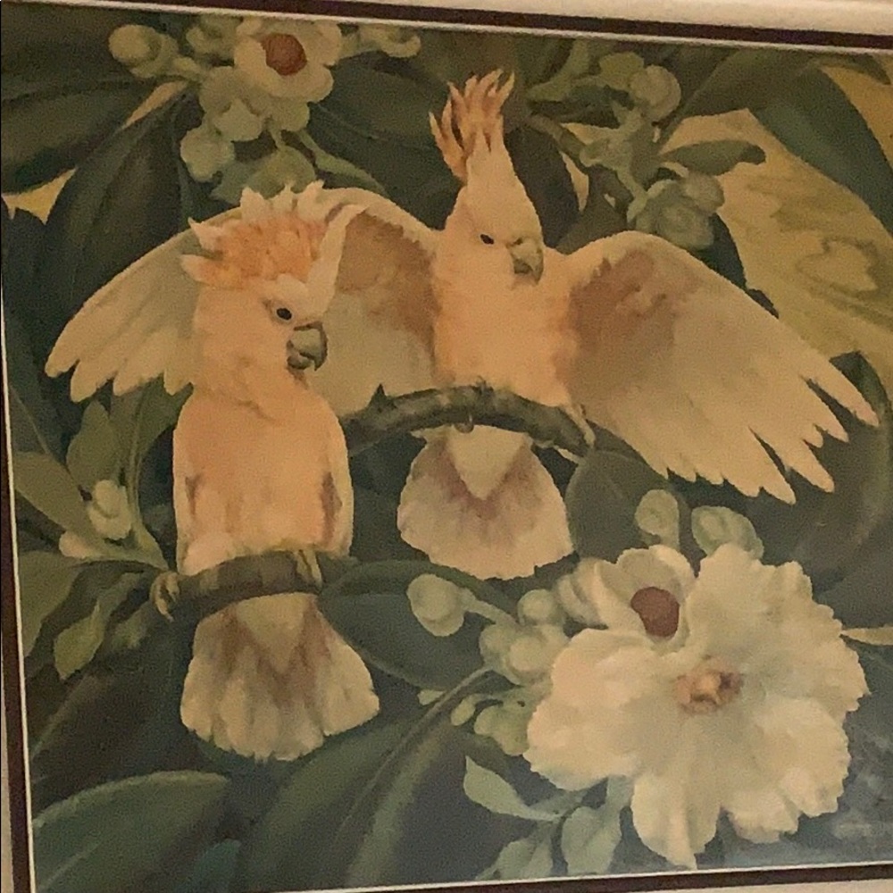 Meet your Posher, Holly